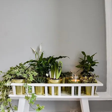 Estrela By Hygge Lisboa