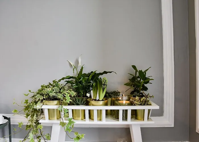 The Hygge - Estrela Lizbona